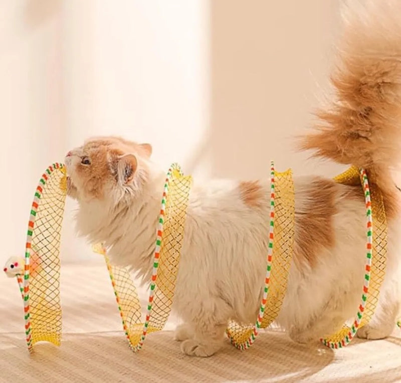 Brinquedo Túnel Aberto para Gatos Filhotes