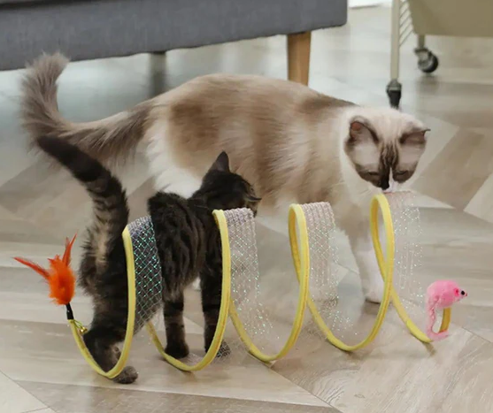 Brinquedo Túnel Aberto para Gatos Filhotes
