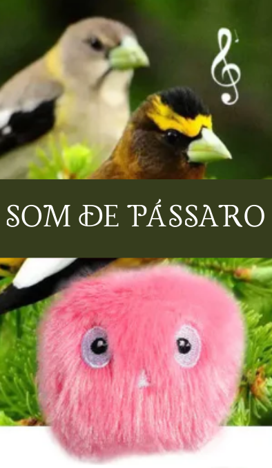 Bolinha com Som de Pássaro com Catnip