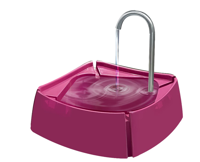 Fonte Bebedouro Automática Little Dado