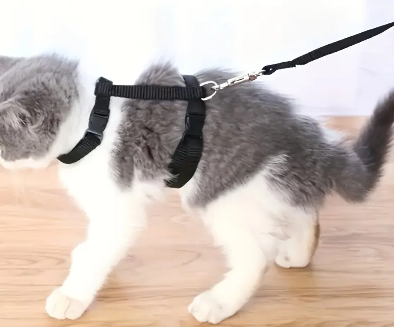 Peitoral para Gatos Ajustável com Guia